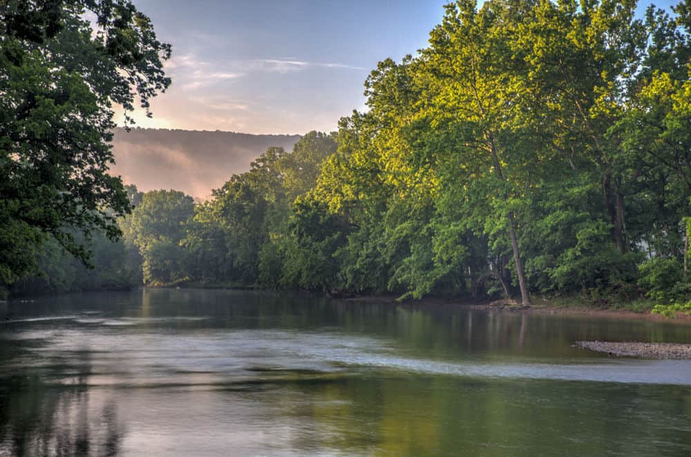 Shenandoah River Fork at Muse VIneyards