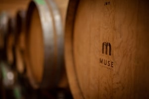 Muse Vineyards Barrels