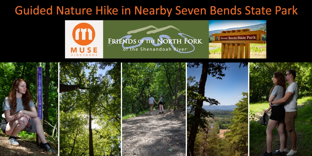 Guided Hike - Seven Bends State Park