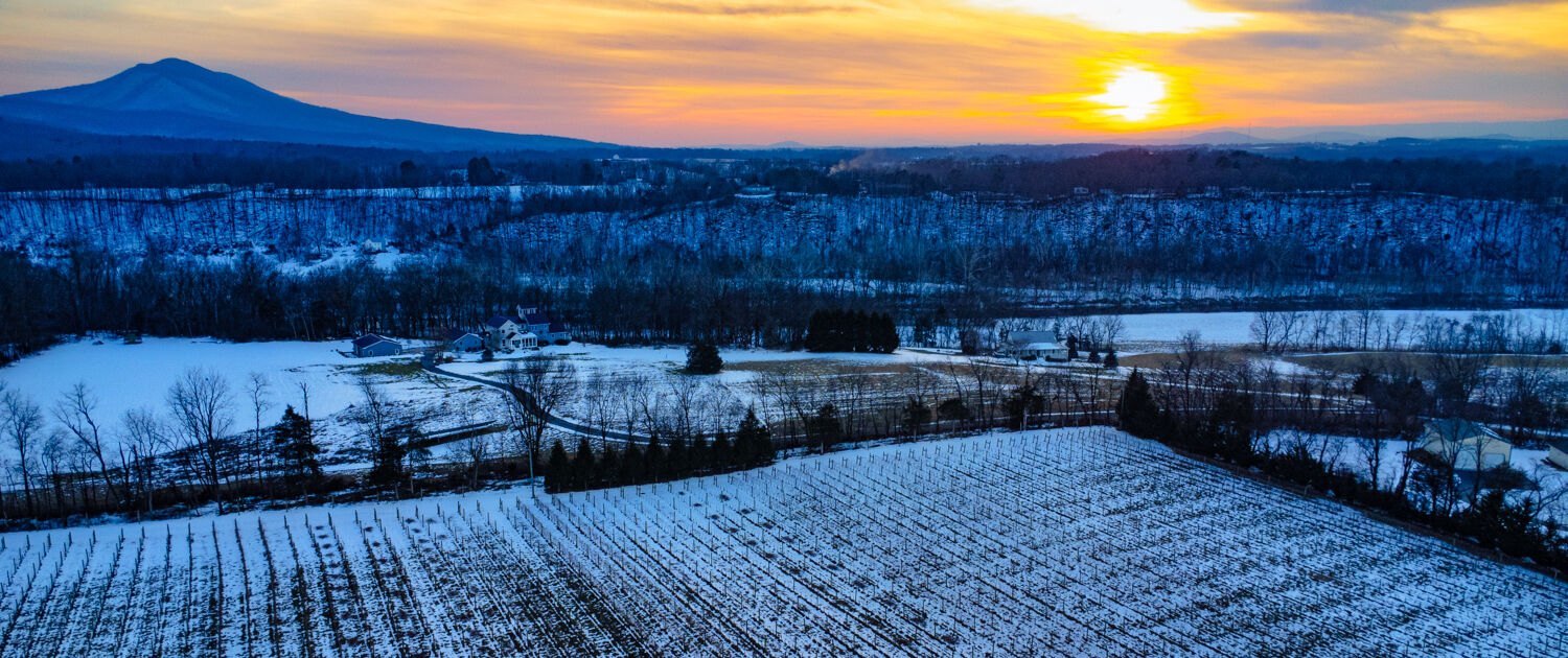 Winter Sunset at Muse Vineyards